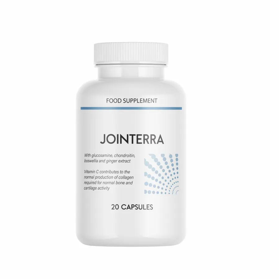 Jointerra — Fotografie 3